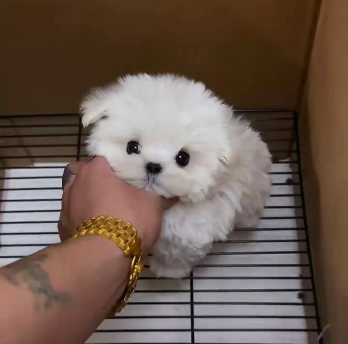 4b315029-dbca-4d06-83b0-cddc7bb78357