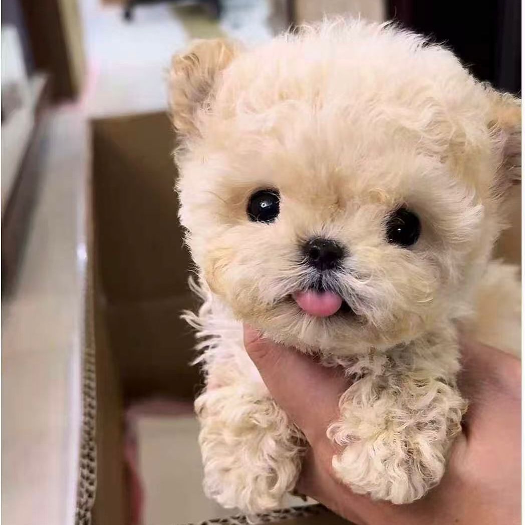 c221abc5-a3a7-4452-a741-1c537cc1e994