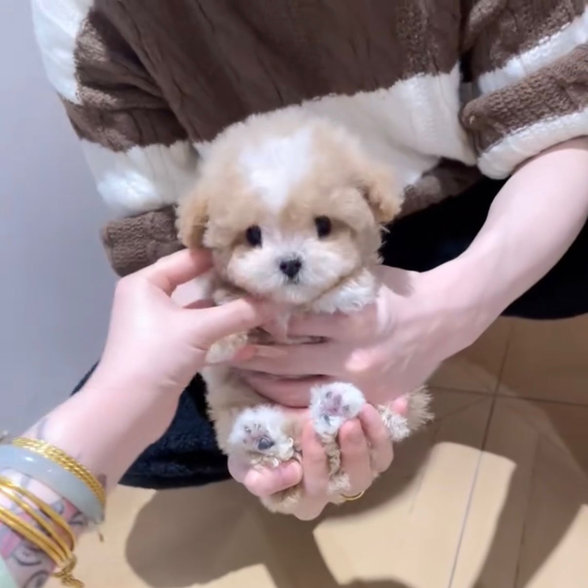 ff21dedb-f7fa-48ad-b646-201522d71340