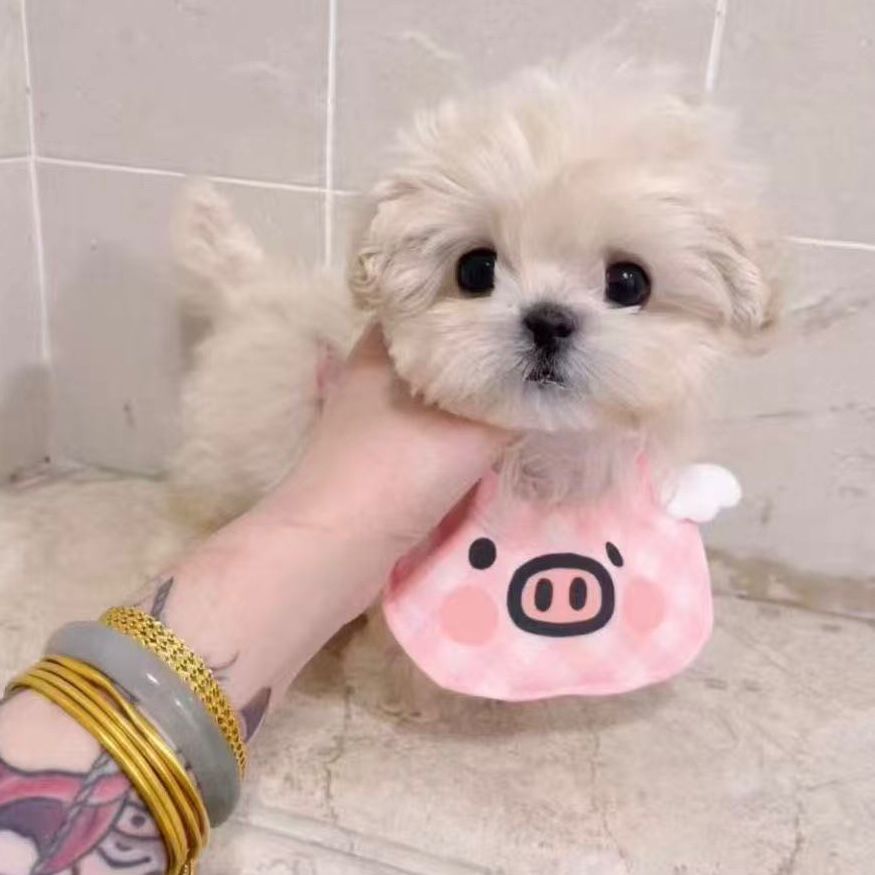 34cd4cc5-b2ce-4f99-93de-a249dbf4271d