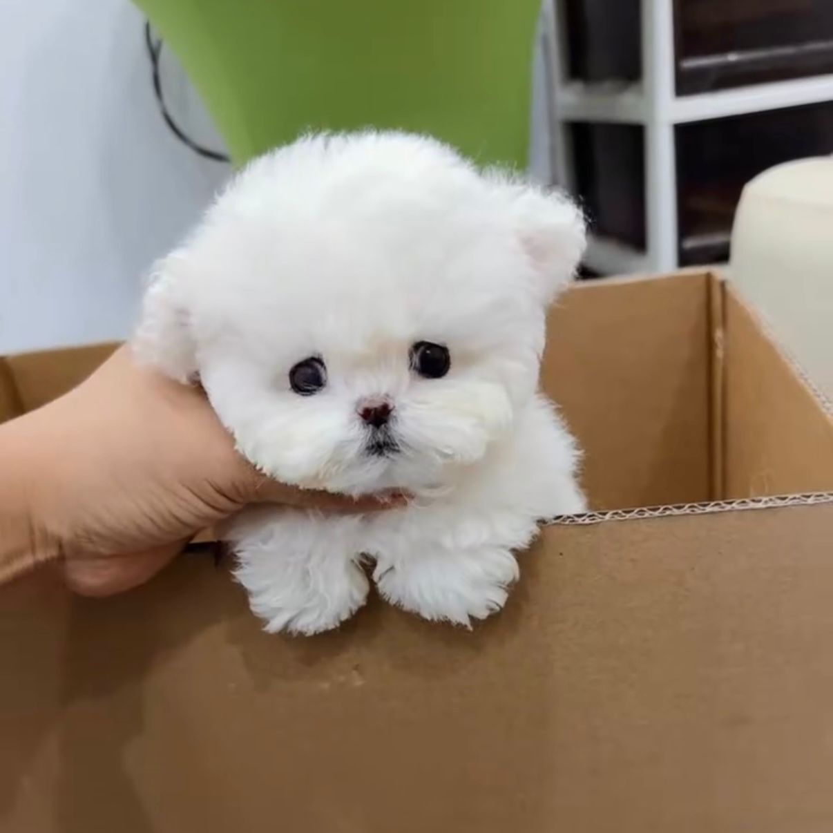 cc3fcc1c-0b7a-470c-b577-2823e2f48aa8