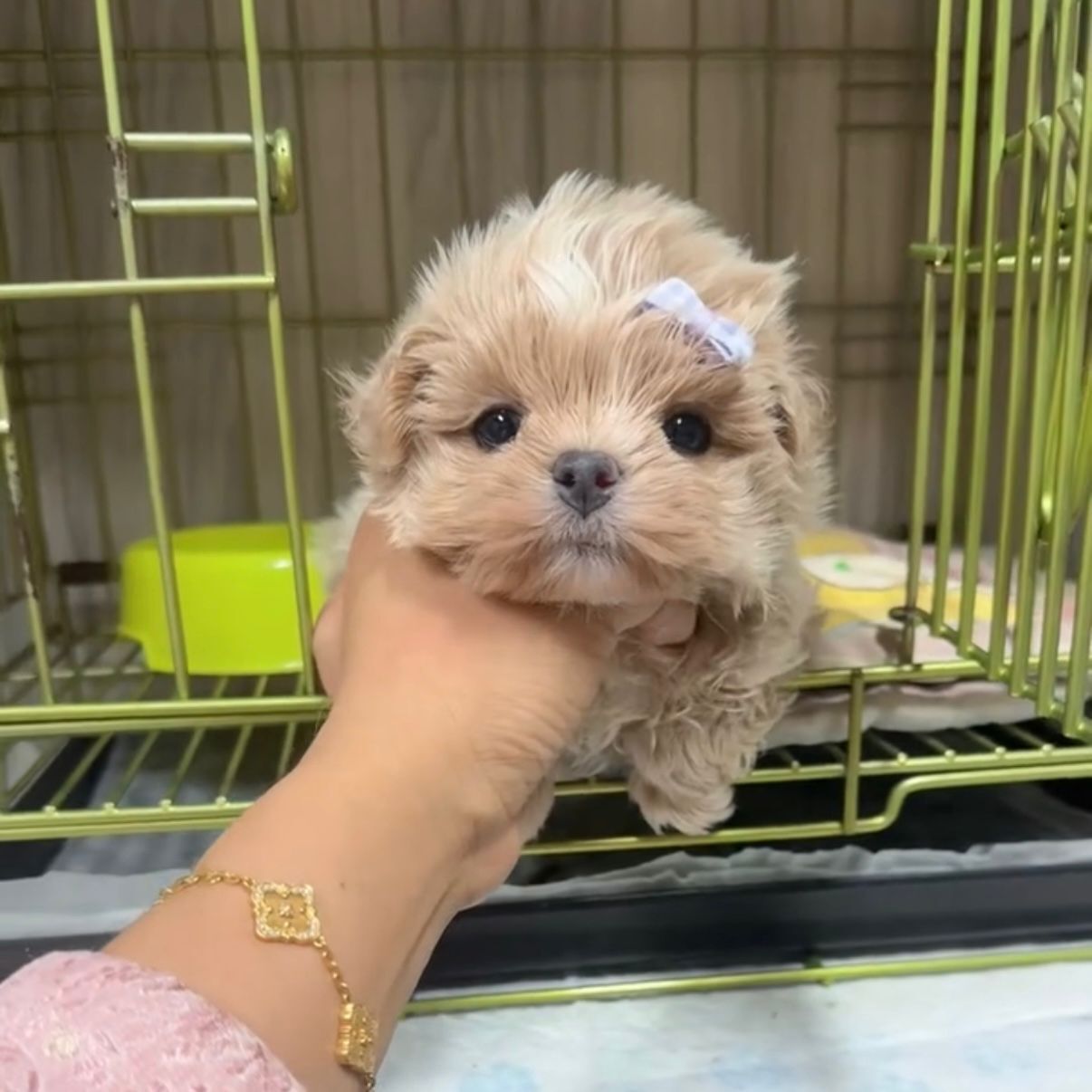 efb9a334-427e-4d32-a030-9913b60b0154