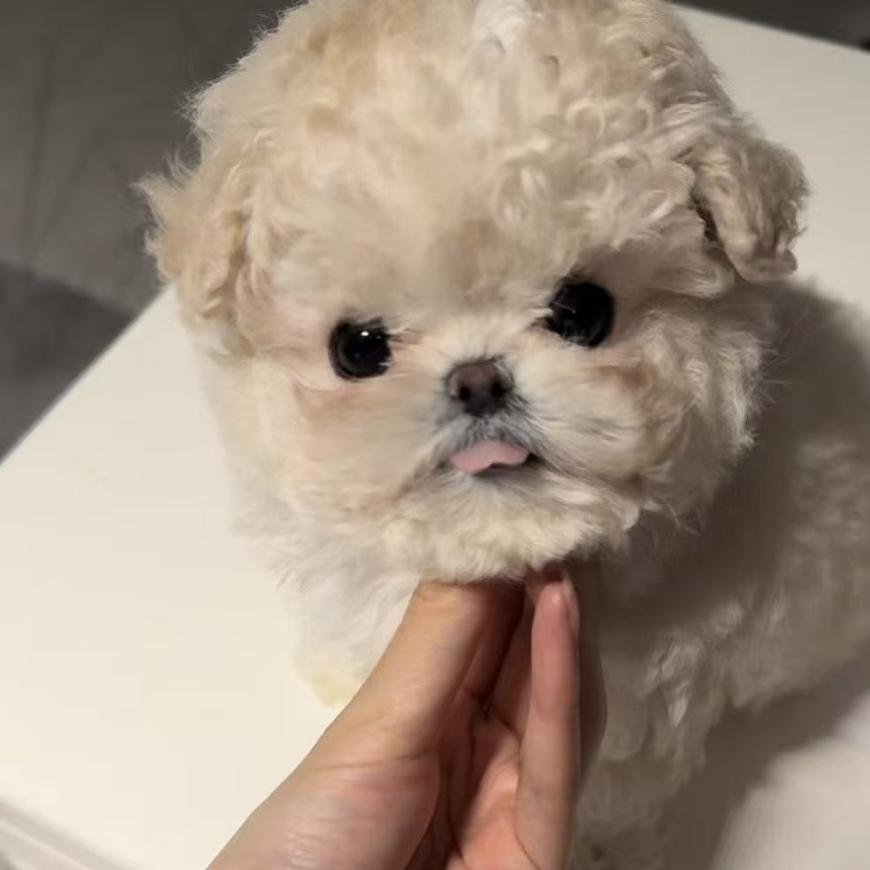 image_496566AC-7F06-4AE7-B566-C3A1F495BC3E_1769304799