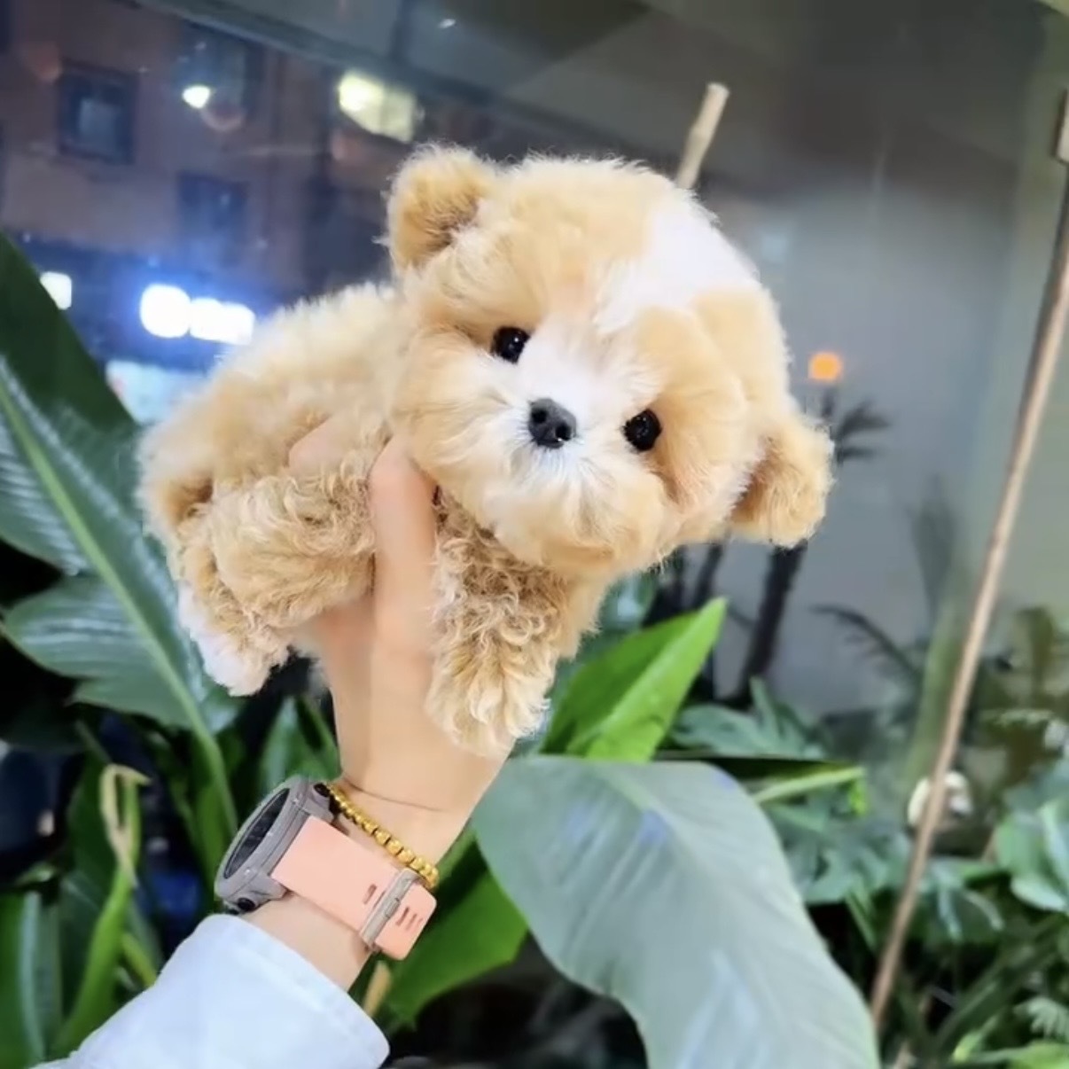 image_38224A23-BD63-4E4B-80BD-1C7EE385E6AF_1769304988