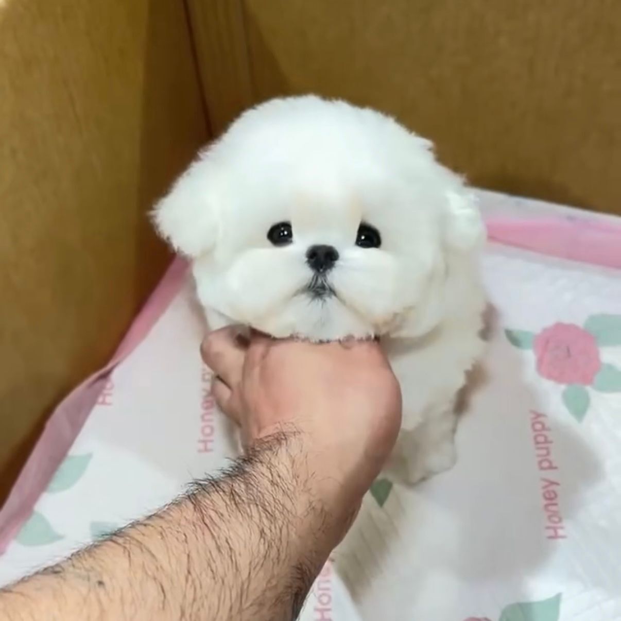 WhatsApp Image 2026-02-26 at 5.38.22 PM