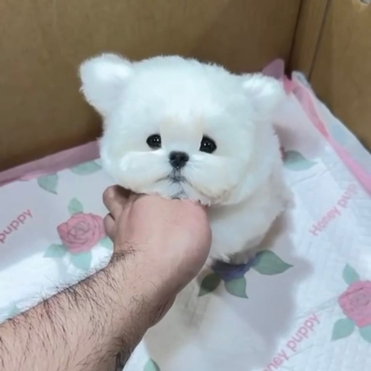 WhatsApp Image 2026-02-26 at 5.38.23 PM