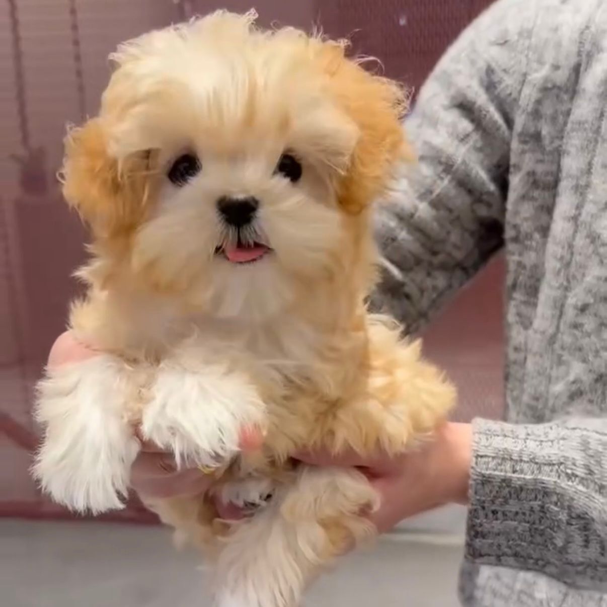 WhatsApp Image 2026-02-26 at 5.38.24 PM