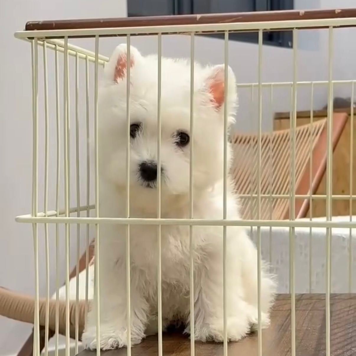 WhatsApp Image 2026-02-26 at 5.38.25 PM