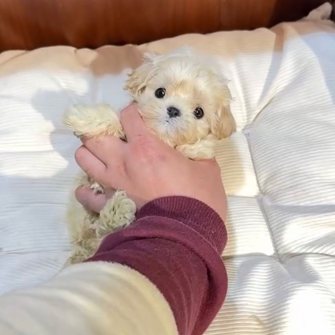 WhatsApp Image 2026-02-26 at 5.38.25 PM (1)