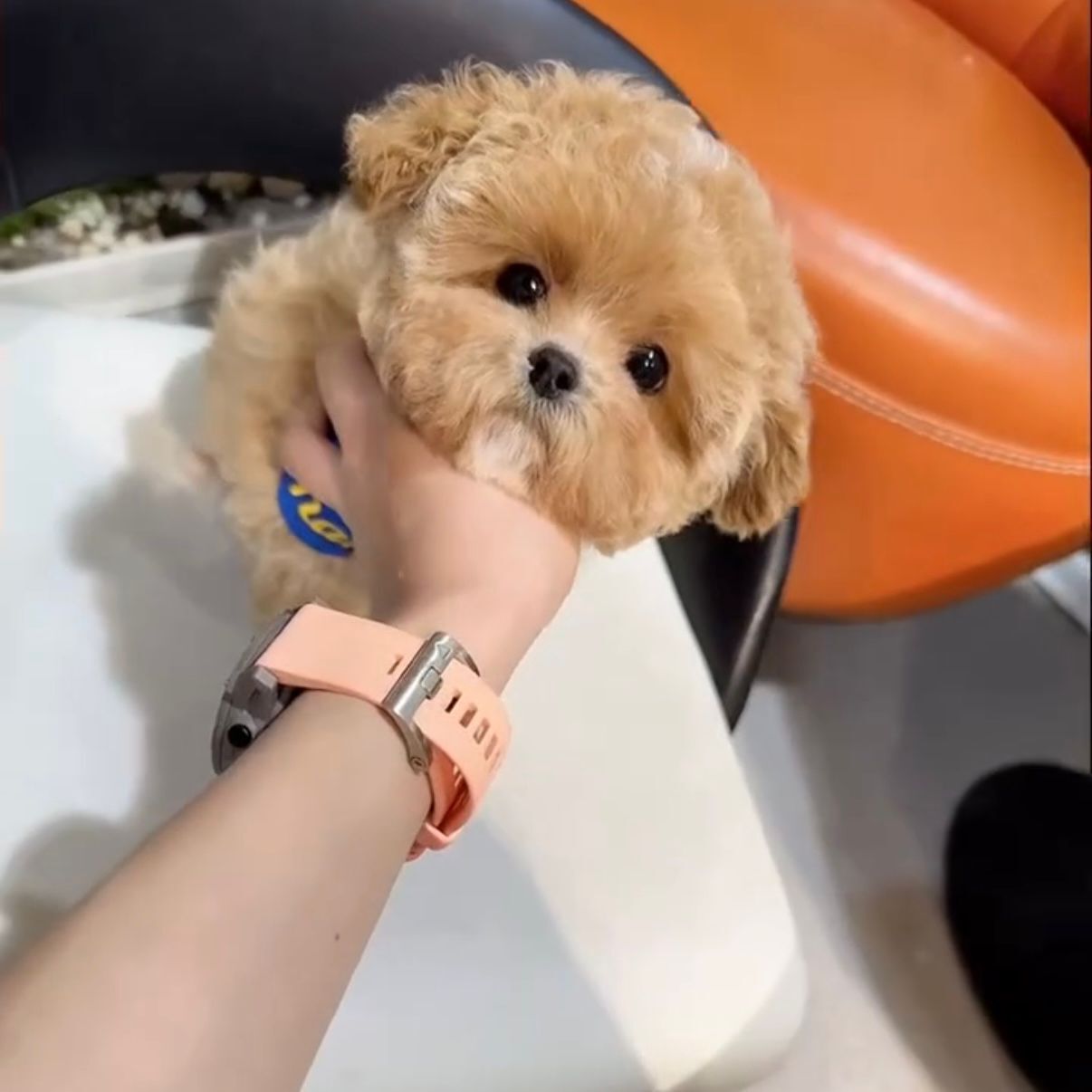 WhatsApp Image 2026-02-26 at 5.38.25 PM (2)