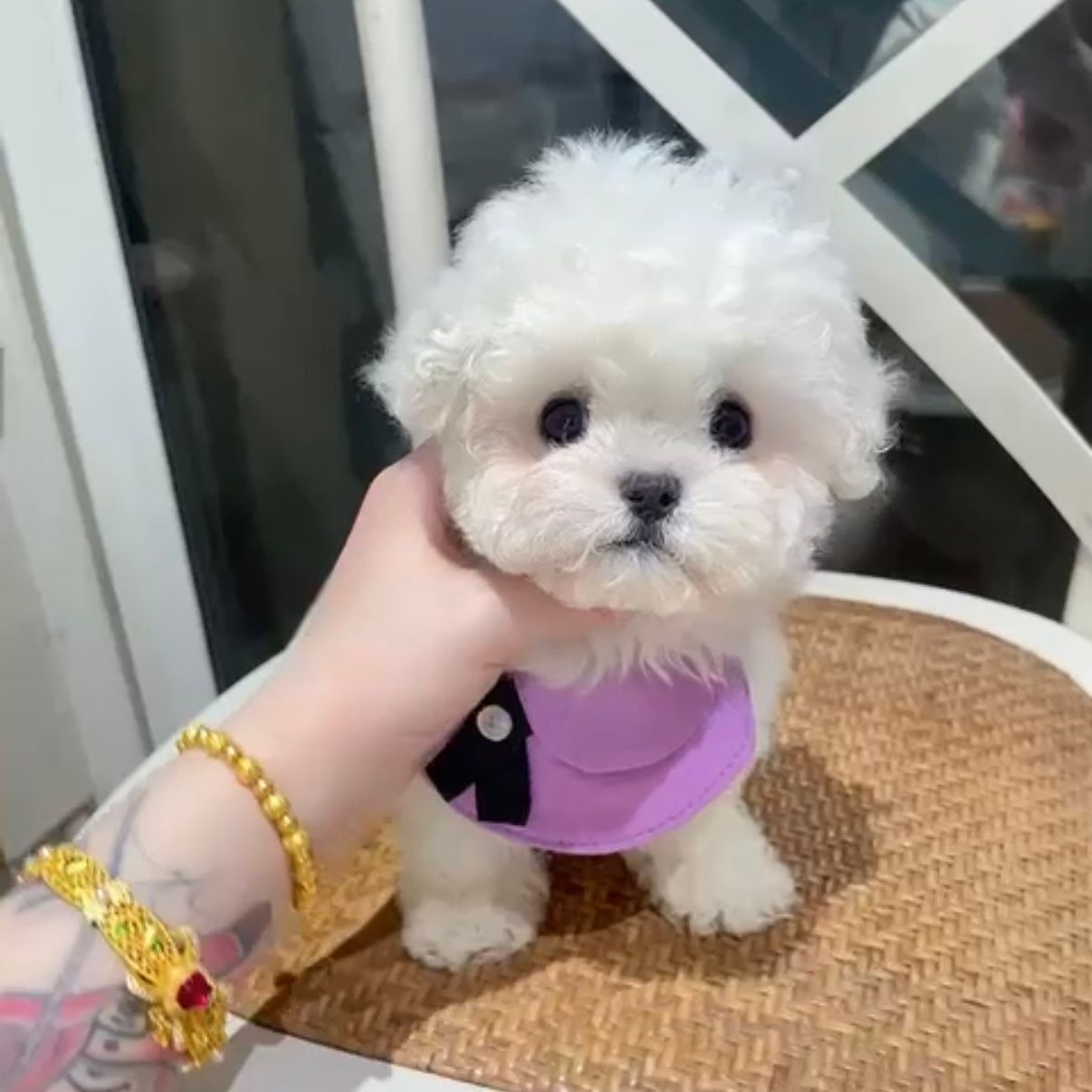 WhatsApp Image 2026-02-26 at 5.38.25 PM (3)