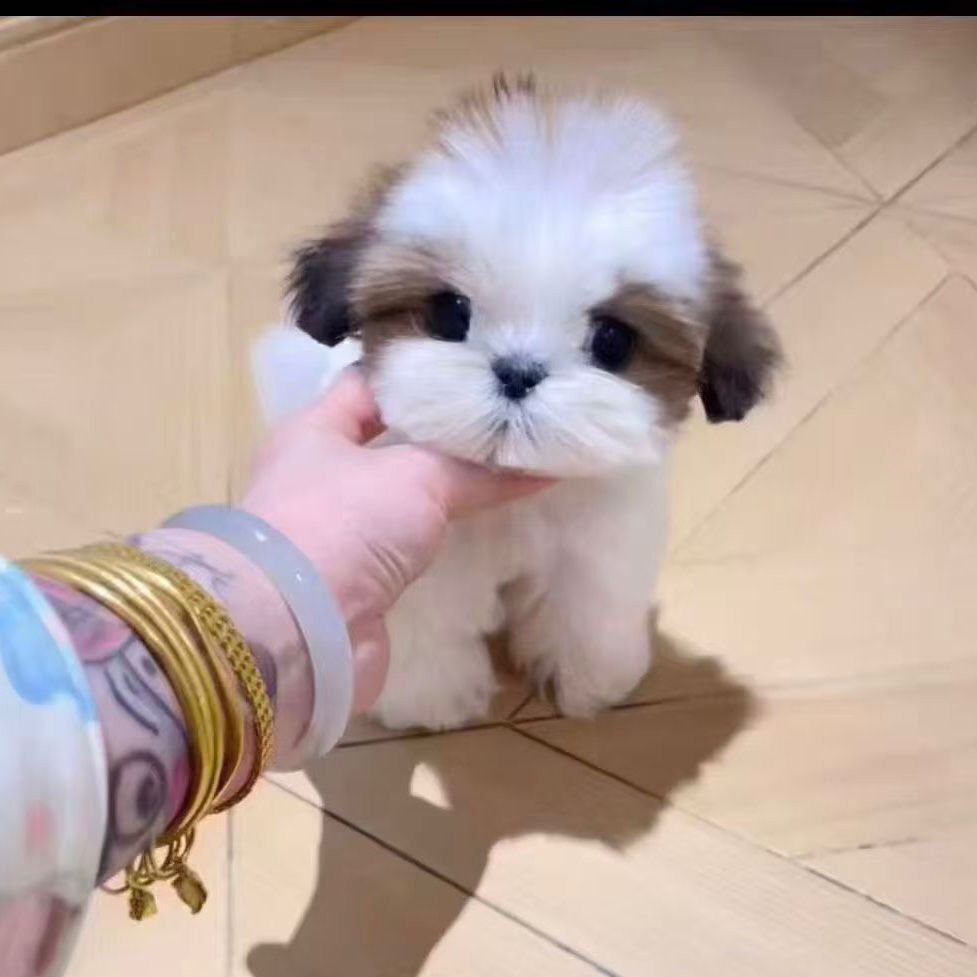 WhatsApp Image 2026-02-26 at 5.38.26 PM