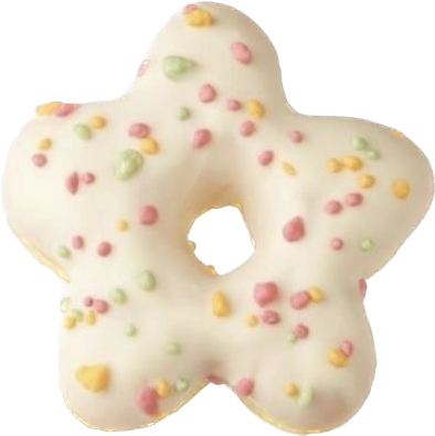 NO REFUND & NO RETURN | Morning Market