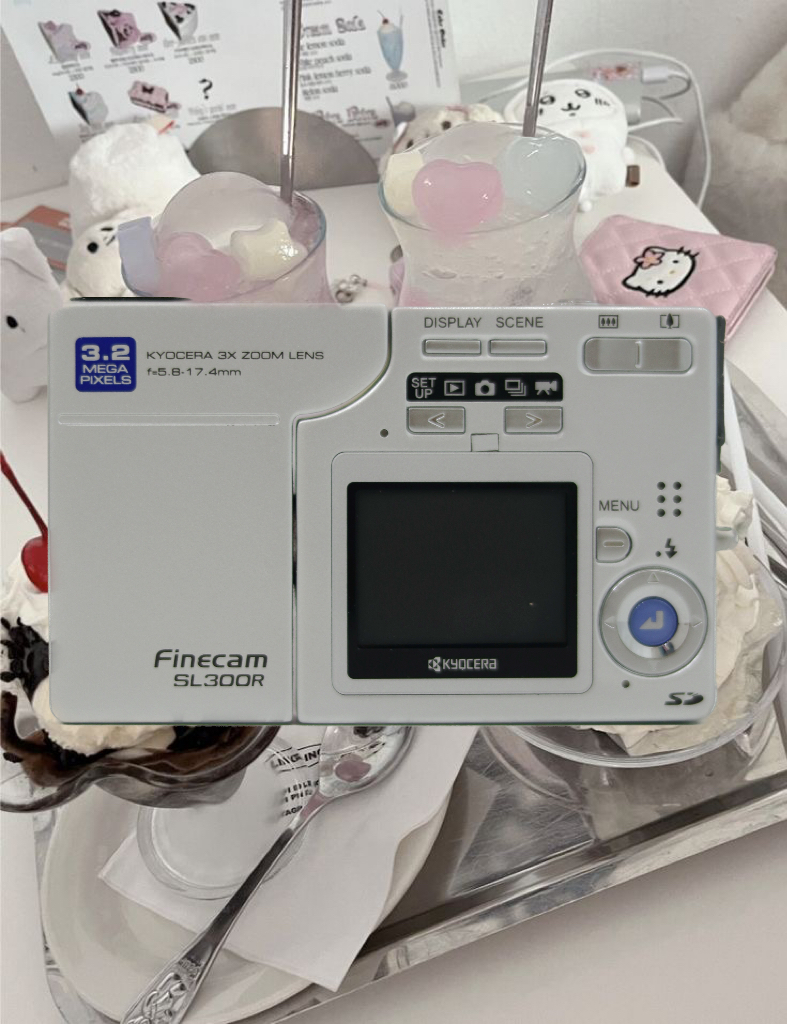 IMG_3978-1695754259185