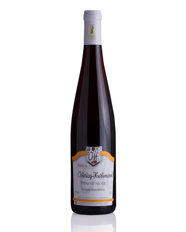 Pinot-noir-CP-Sylvie