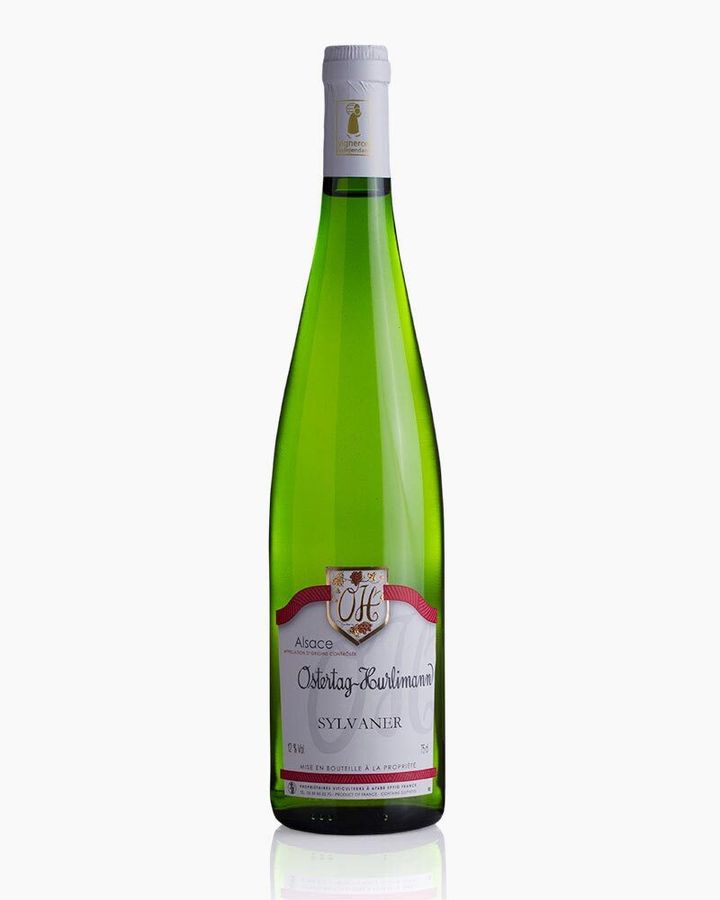Sylvaner-g