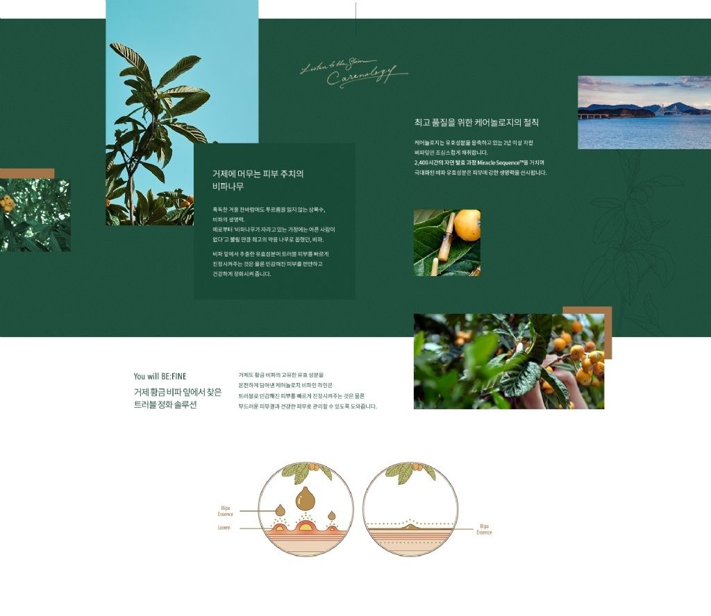 product_50575407_o_4