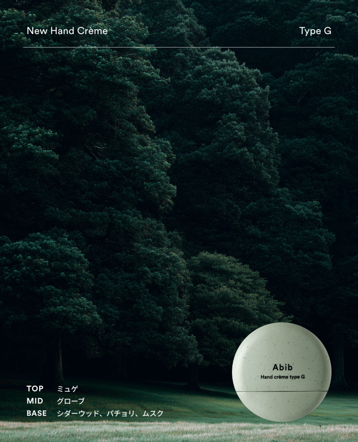 image_6DFB5A11-AEFD-4914-813C-BA2FC4EACA5D_1765374568