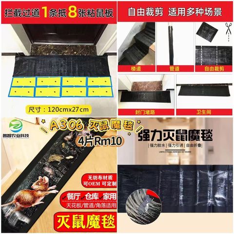 image_2BC24A85-3FB9-41A2-B76B-2AD7D6633E1F_1773322188