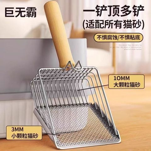 image_972D1F51-50D9-4509-9855-393E68DB45C6_1776066705