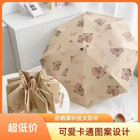 image_120931FE-3A4E-4FDC-921C-99FB47B9B652_1751374554