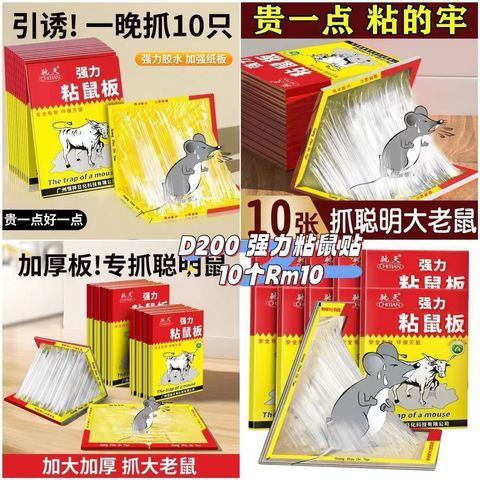 image_8B5D9848-4C44-4A0F-8891-88F9E09E18F0_1760860761