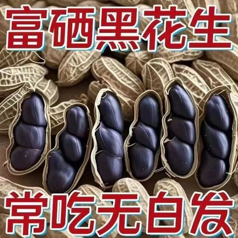 image_86C5B69C-3EAD-4627-B3AF-64D524647949_1761480998