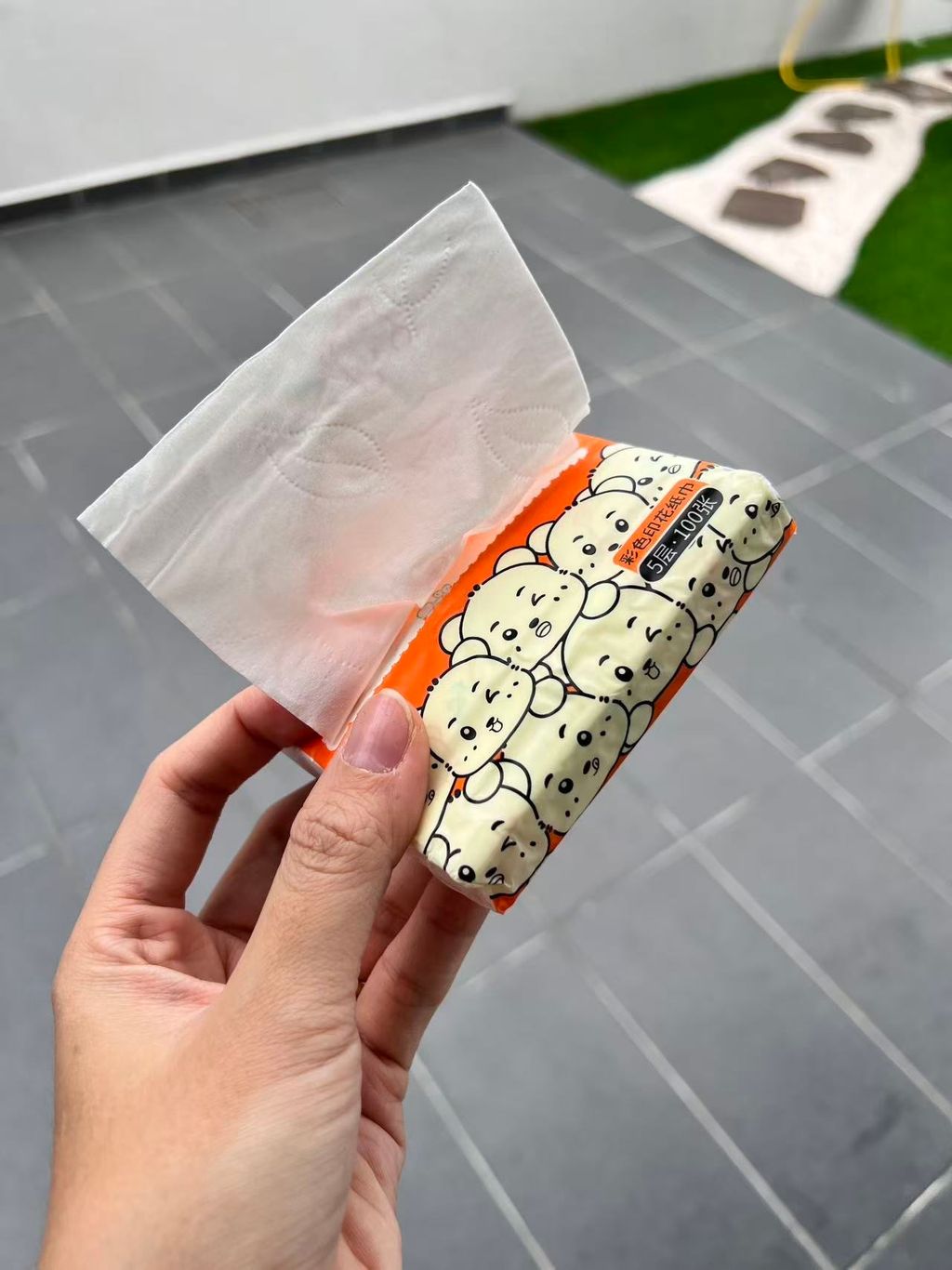 image_BE7ECA41-9CBD-4A6F-B039-1BE8865766C5_1763102943