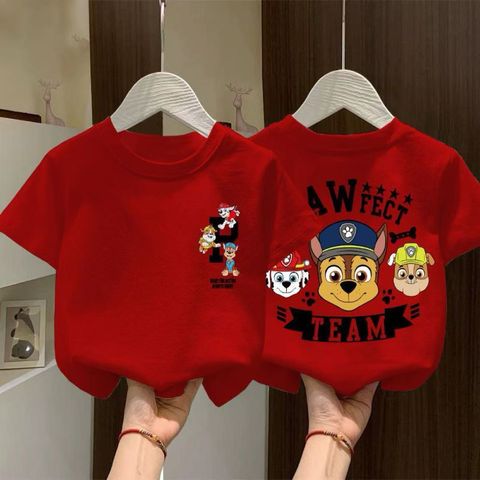 image_23365CAF-2AB1-4378-B072-347D6127537B_1767621198