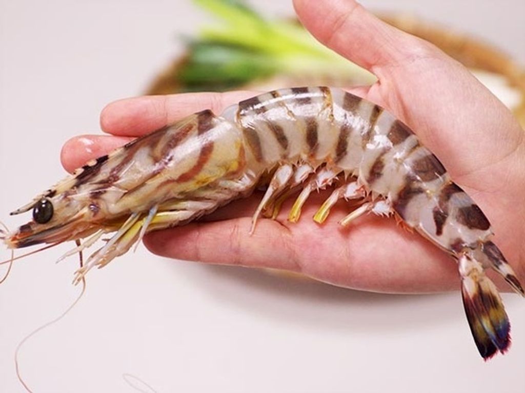 W1siZiIsIjI0OTkxL3Byb2R1Y3RzLzQyMzQ5NDczLzE2OTUyODYxOTNfZGMzYzc2MTM4OWU3OGE3YTU2OWMuanBlZyJdLFsicCIsInRodW1iIiwiNjAweDYwMCJdXQ