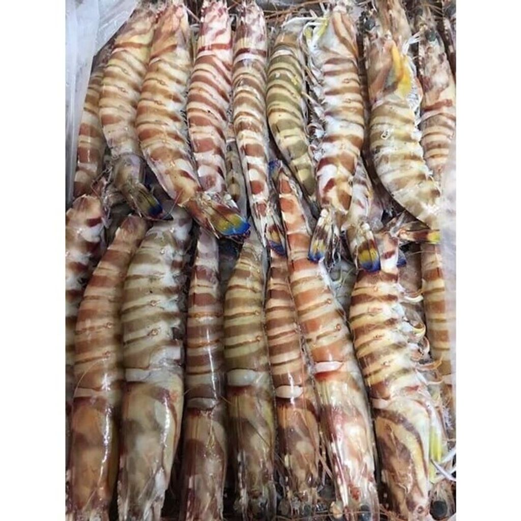 W1siZiIsIjI0OTkxL3Byb2R1Y3RzLzQyMzQ5NDczLzE2OTUyODYxOTNfYTlmZGZkZjQ0MTcyNGZlNDc2ZTIuanBlZyJdLFsicCIsInRodW1iIiwiNjAweDYwMCJdXQ