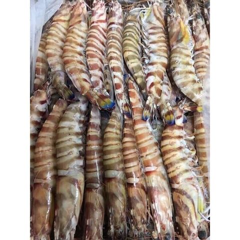 W1siZiIsIjI0OTkxL3Byb2R1Y3RzLzQyMzQ5NDczLzE2OTUyODYxOTNfYTlmZGZkZjQ0MTcyNGZlNDc2ZTIuanBlZyJdLFsicCIsInRodW1iIiwiNjAweDYwMCJdXQ