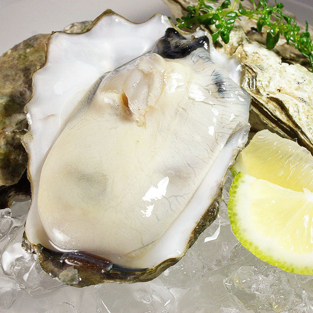 W1siZiIsIjI0OTkxL3Byb2R1Y3RzLzQyMzQ5NDk2LzE2OTUyODY2NzJfMjBmZWMwZTEzODMwYjY2YThjOWUuanBlZyJdLFsicCIsInRodW1iIiwiNjAweDYwMCJdXQ