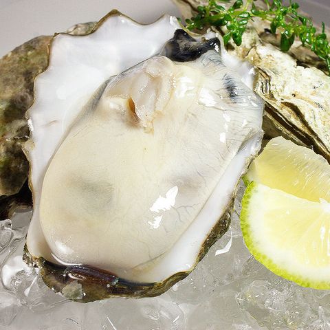 W1siZiIsIjI0OTkxL3Byb2R1Y3RzLzQyMzQ5NDk2LzE2OTUyODY2NzJfMjBmZWMwZTEzODMwYjY2YThjOWUuanBlZyJdLFsicCIsInRodW1iIiwiNjAweDYwMCJdXQ