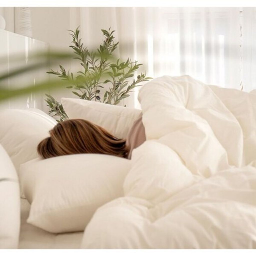 W1siZiIsIjI0OTkxL3Byb2R1Y3RzLzQyMzc2ODI3LzE2OTUzNTEwODlfMDViZDFlMTRiYjczZGFmMDVmZmYuanBlZyJdLFsicCIsInRodW1iIiwiNjAweDYwMCJdXQ