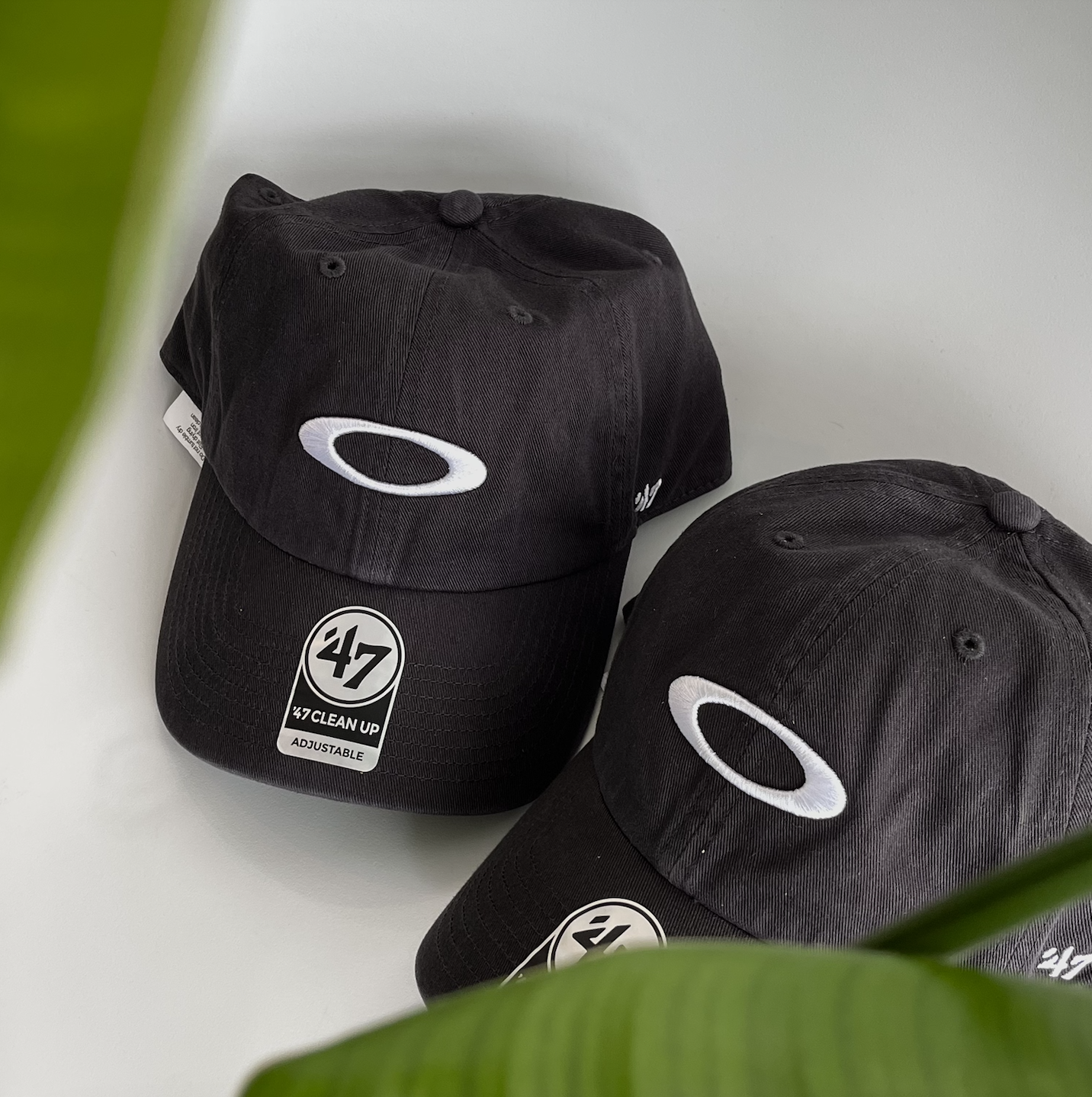 截圖 2025-11-13 11.10.43