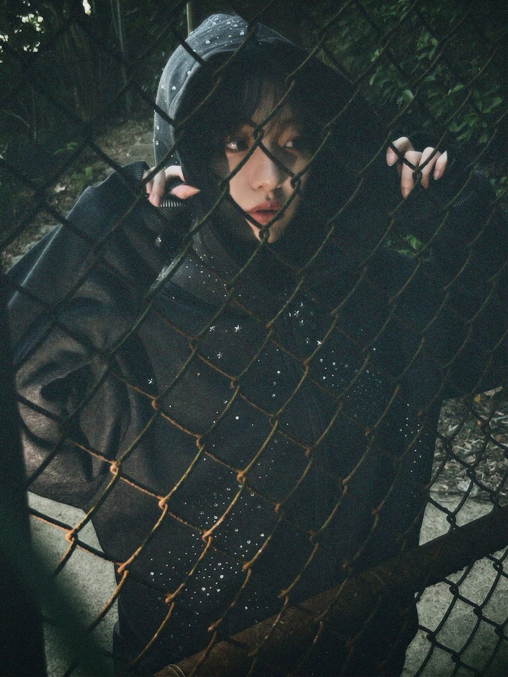 image_B4FAB346-C02E-4A35-83C8-1A50A51CB9A8_1766367661