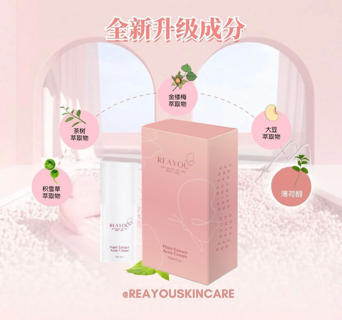 Reayou Plant Extra Acne Cream | REAYOU SKINCARE