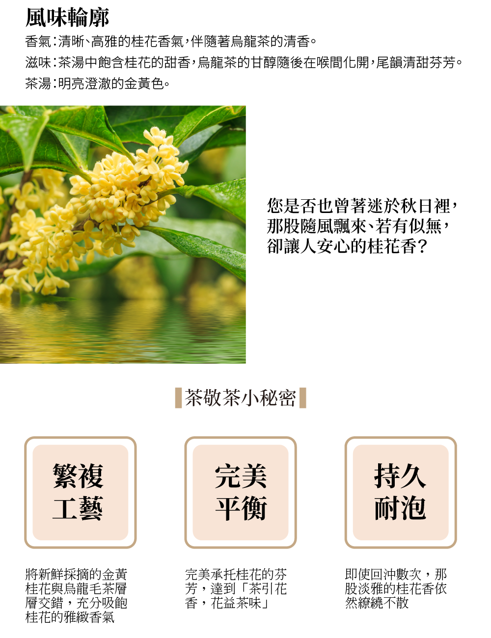 251031茶包內容-08