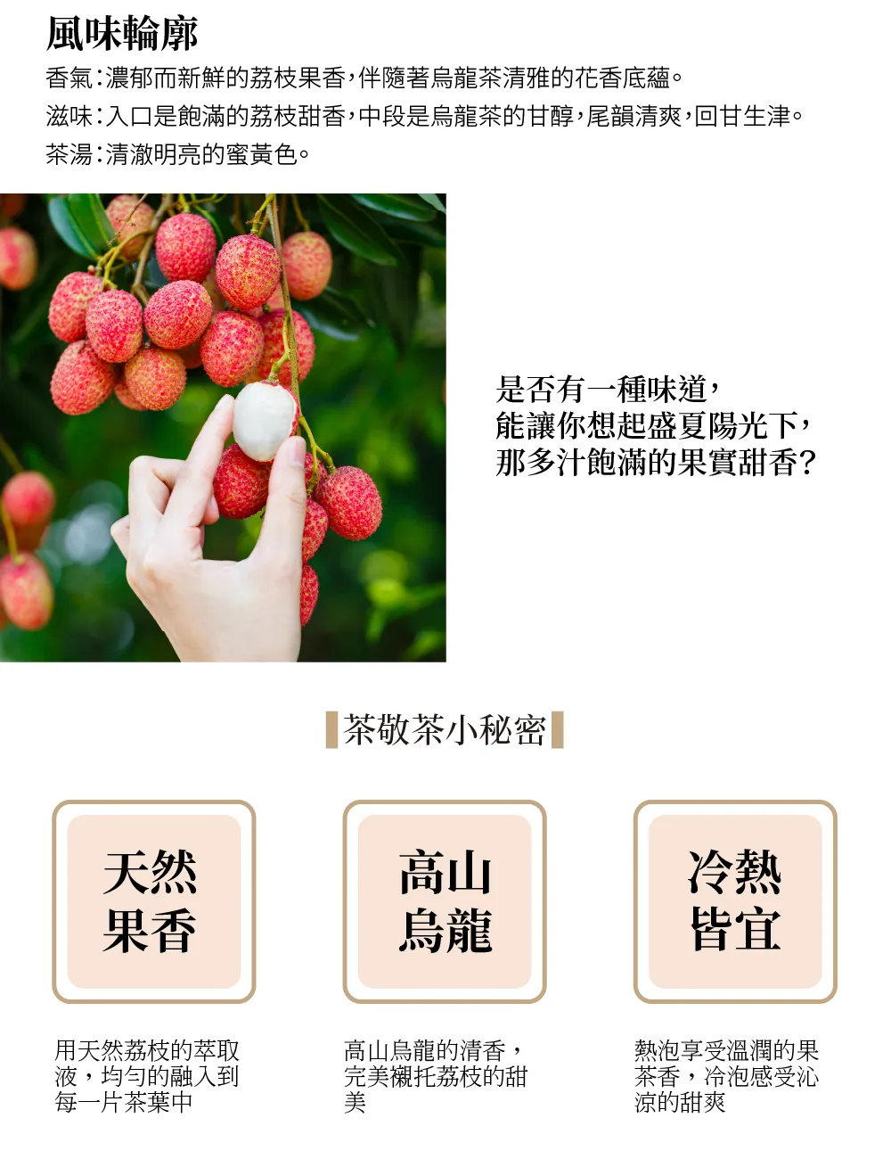 251031茶包內容-05