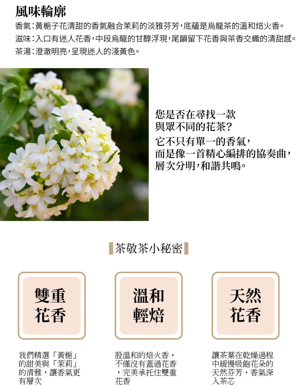 251031茶包內容-18