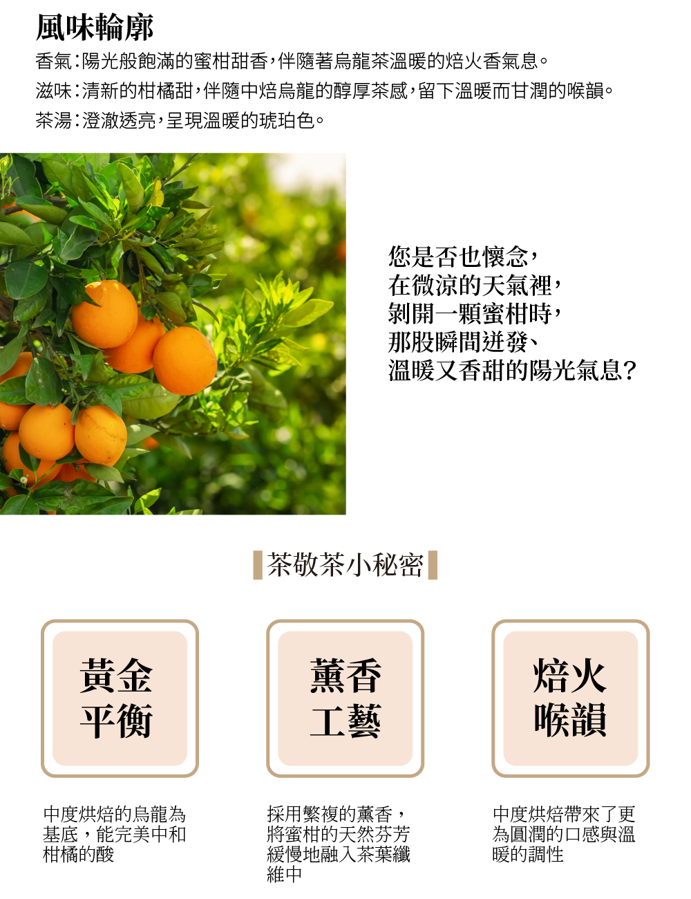 251031茶包內容-19