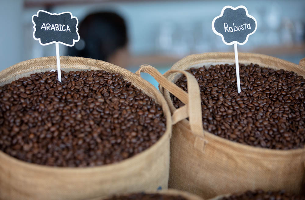 furama arabica and robusta coffee bean