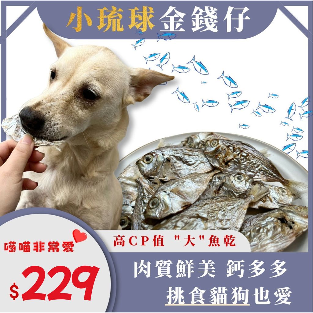 618年中打折大促销主图__2026-03-13+10_46_20