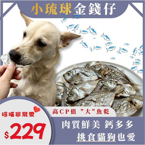 618年中打折大促销主图__2026-03-13+10_46_20