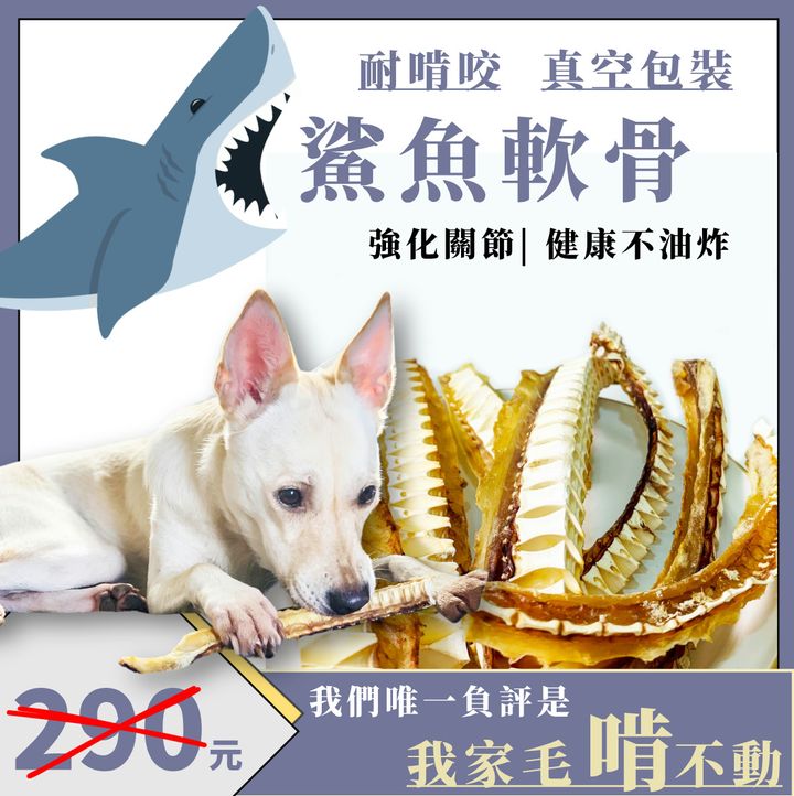 新LOGO鯊魚軟骨1