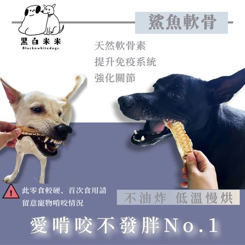 新LOGO鯊魚軟骨2