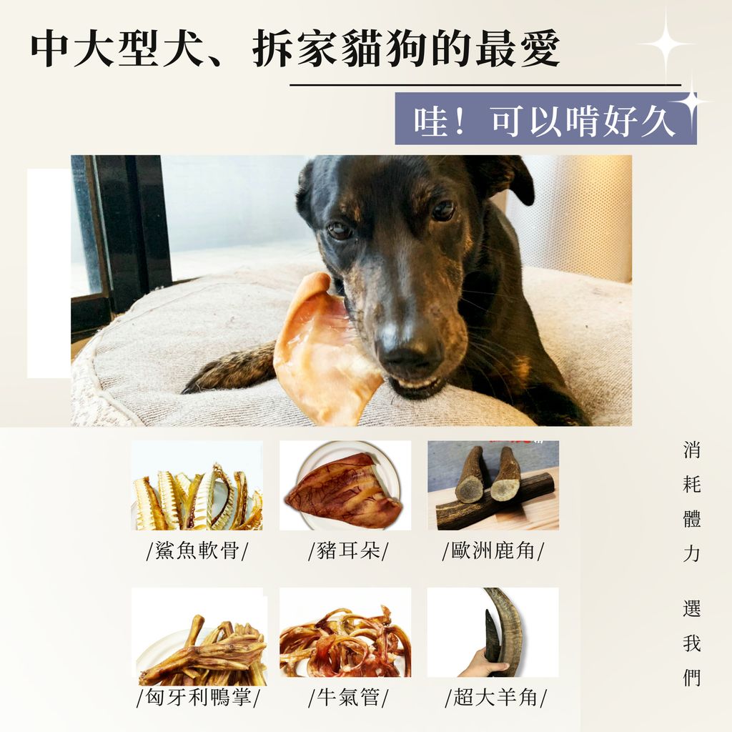 新LOGO詳情5