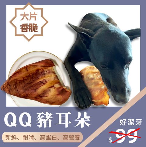 新LOGO豬耳朵
