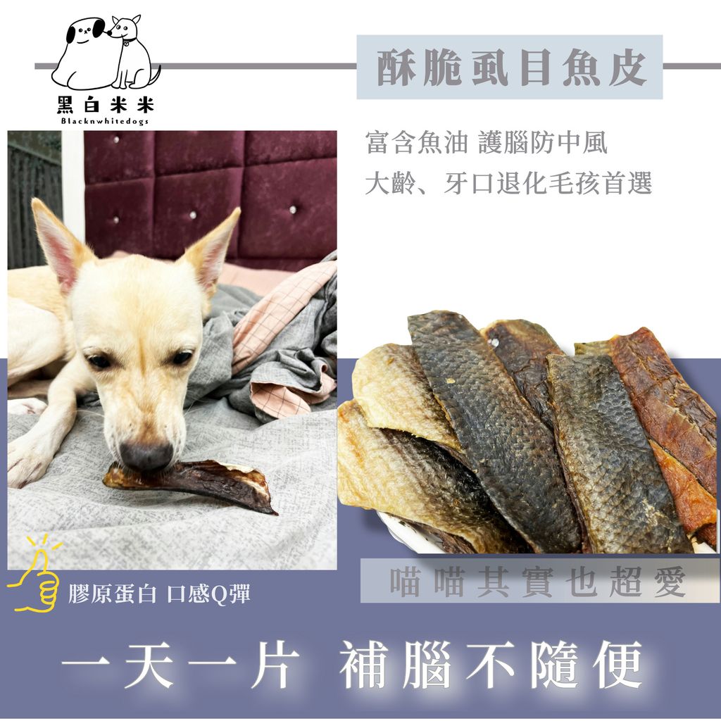 默认标题__2024-09-01+10_49_50